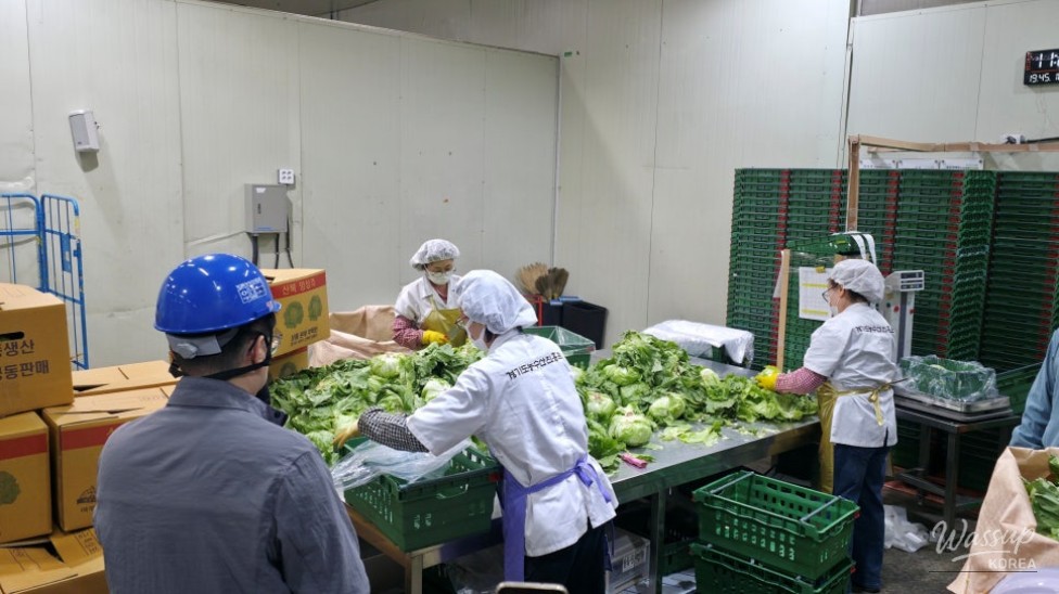 Exploring Eco-Friendly School Meals in Gyeonggi Province_05