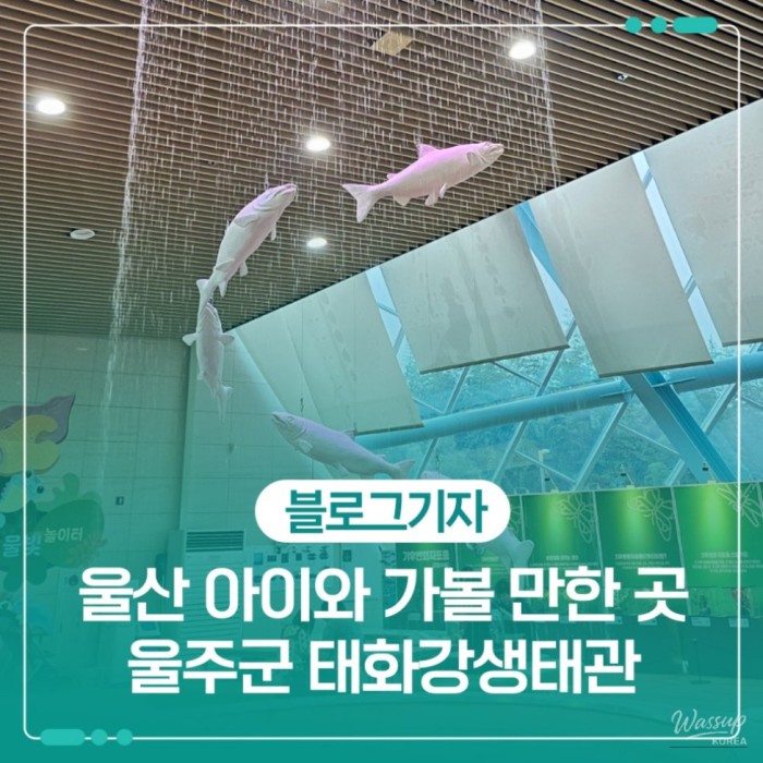 Exploring the Taehwa River Ecological Center in Ulsan with Your Child