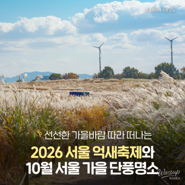 Autumn Adventures in Seoul