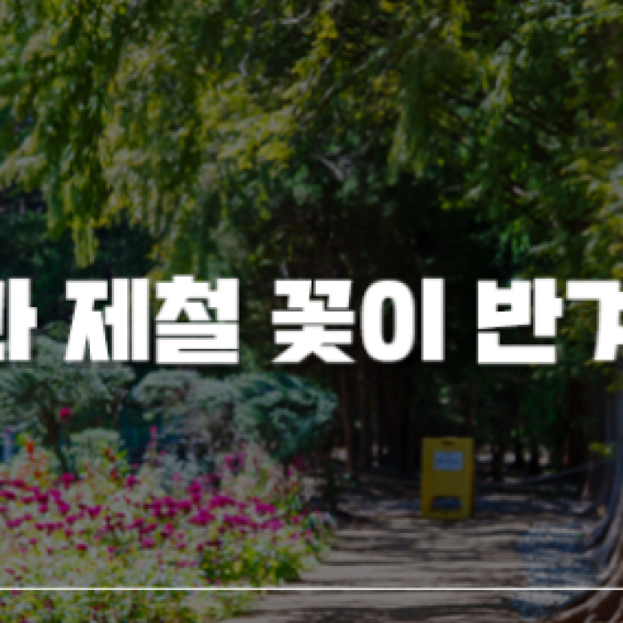 A Sanctuary of Comfort: Iksan Agape Garden