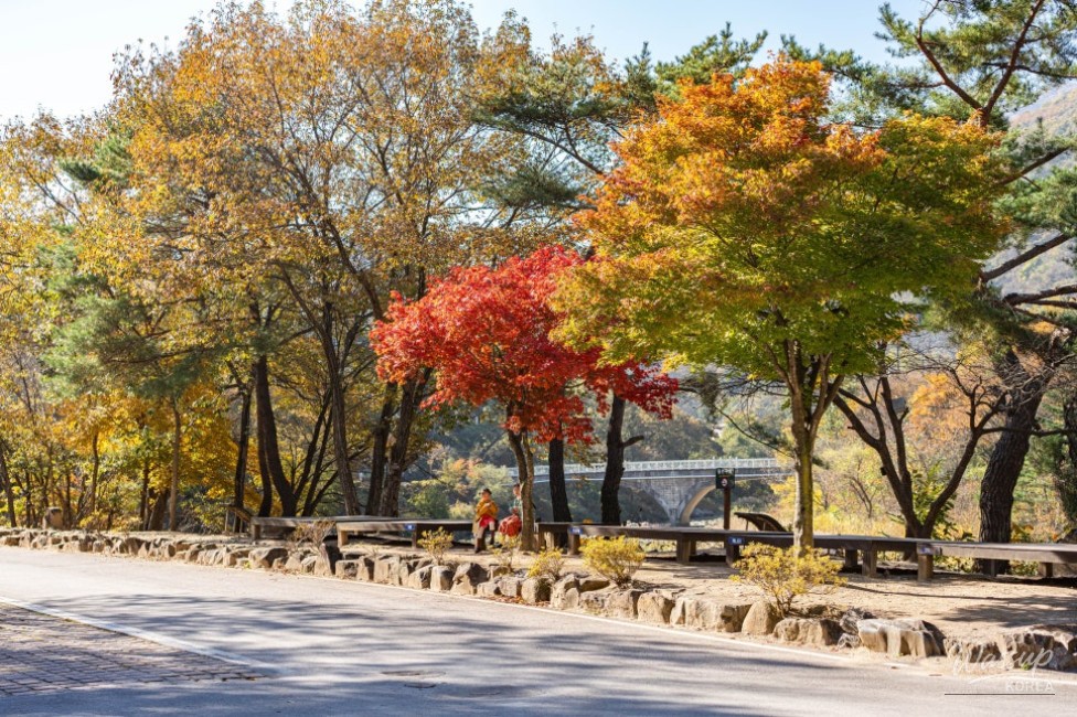 Exploring the Autumn Scenery of Danyang_03