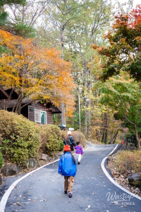 Exploring the Autumn Scenery of Danyang_02