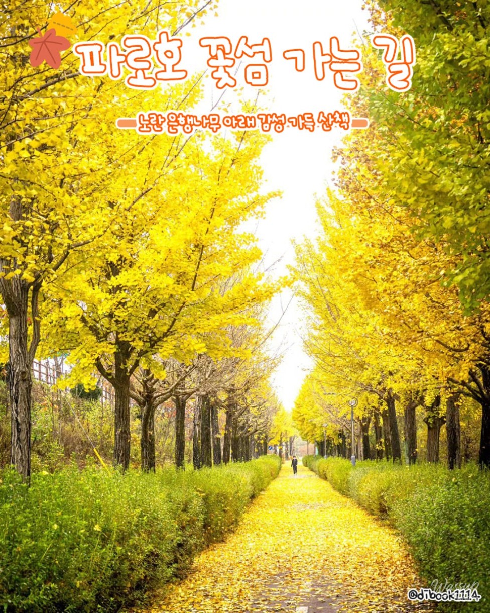 Beautiful Autumn Destinations in Yanggu_07