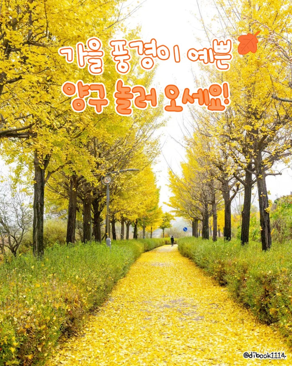 Beautiful Autumn Destinations in Yanggu_09