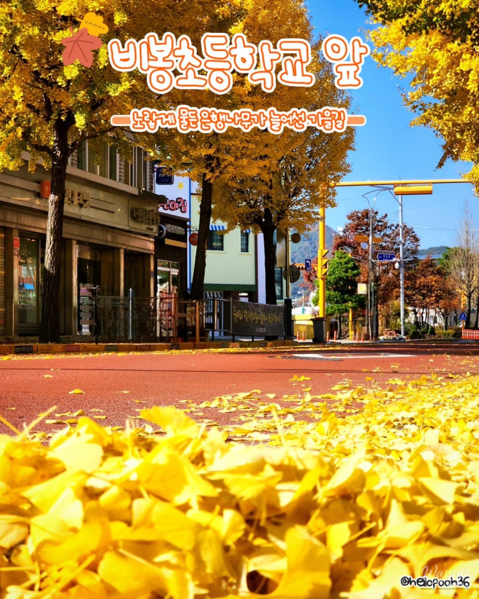 Beautiful Autumn Destinations in Yanggu_05