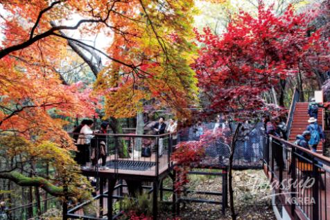 2026 Namsan Autumn Picnic_03