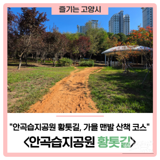 Autumn Barefoot Walk at Goyang's Angok Wetland Park_01