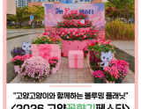 Enjoy the 2026 Goyang Flower Aroma Festival with Goyang Cat!