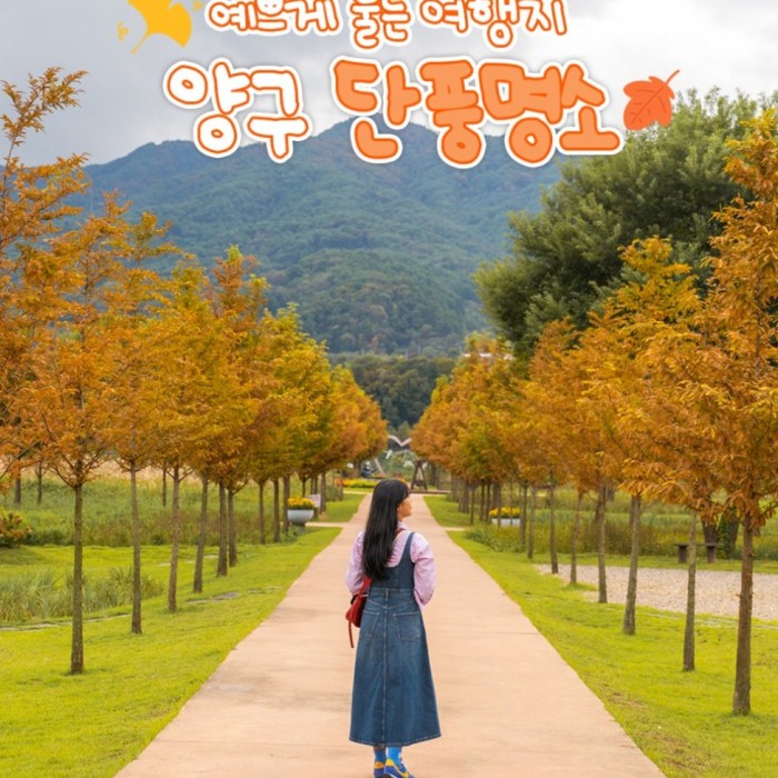 Beautiful Autumn Destinations in Yanggu