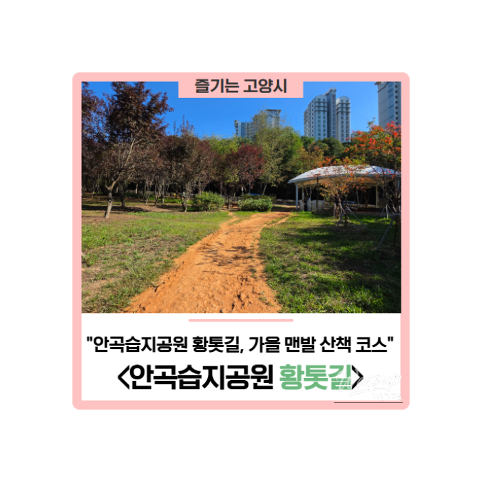 Autumn Barefoot Walk at Goyang's Angok Wetland Park