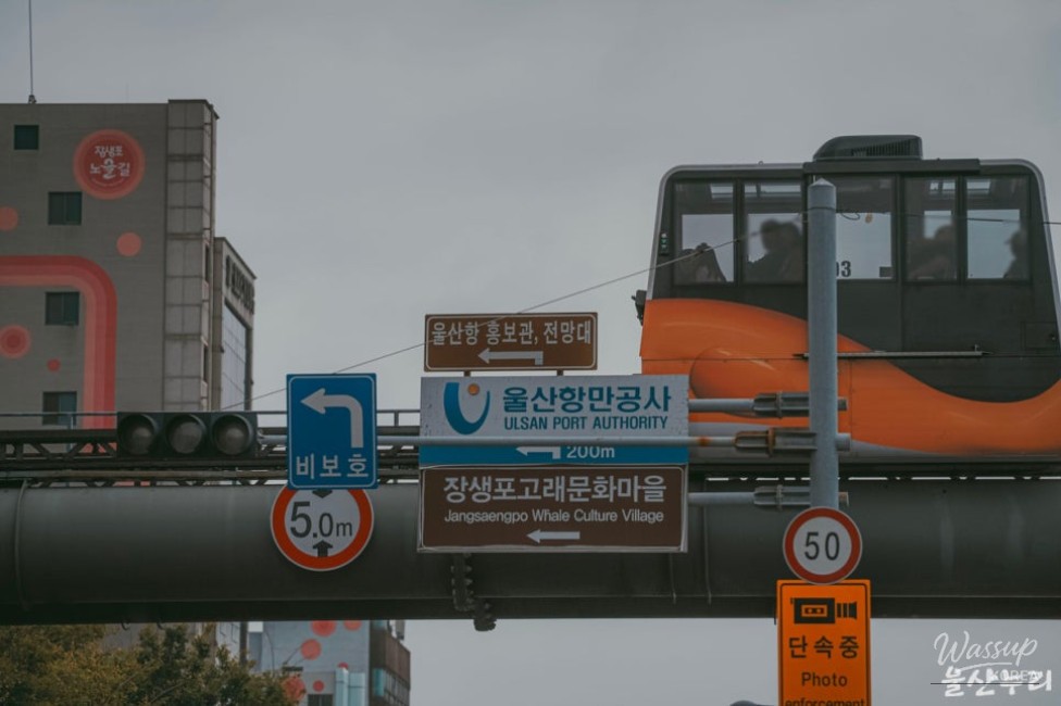 Exploring the 30th Ulsan Whale Festival_03