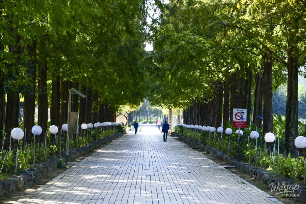 A Tranquil Escape in the Heart of the City_04