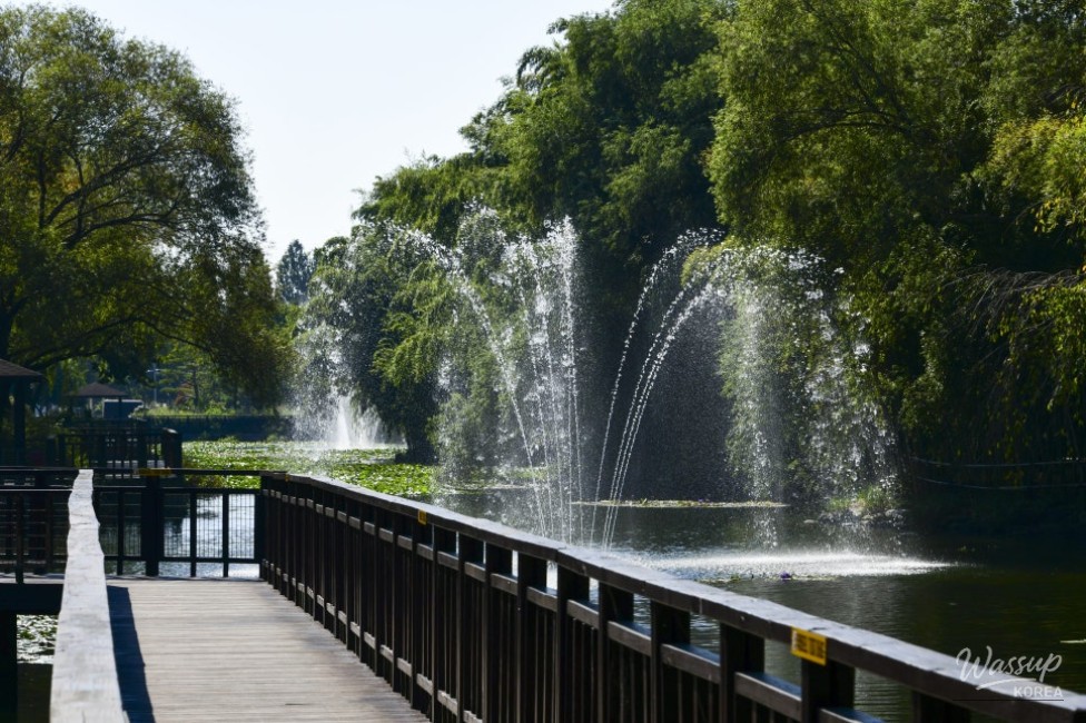 A Tranquil Escape in the Heart of the City_20