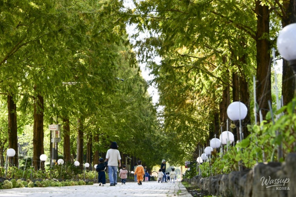 A Tranquil Escape in the Heart of the City_05