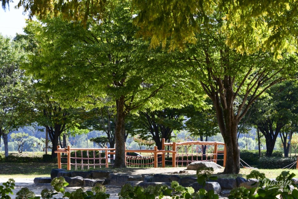 A Tranquil Escape in the Heart of the City_18