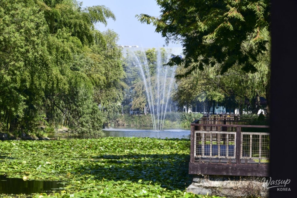 A Tranquil Escape in the Heart of the City_02