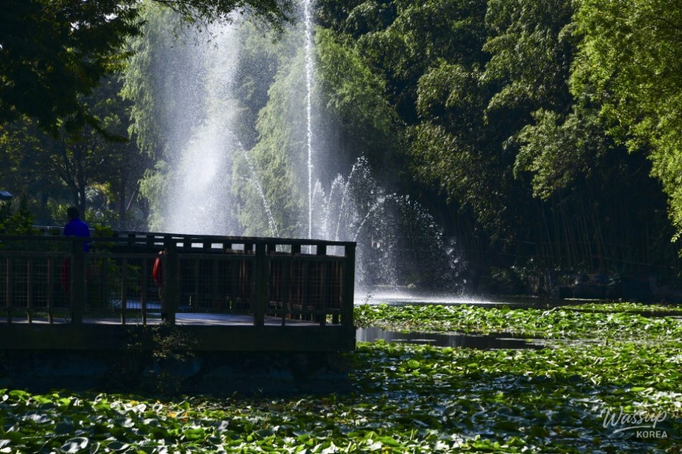 A Tranquil Escape in the Heart of the City_10