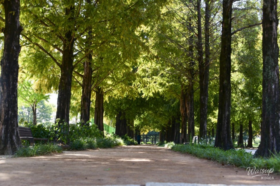 A Tranquil Escape in the Heart of the City_06