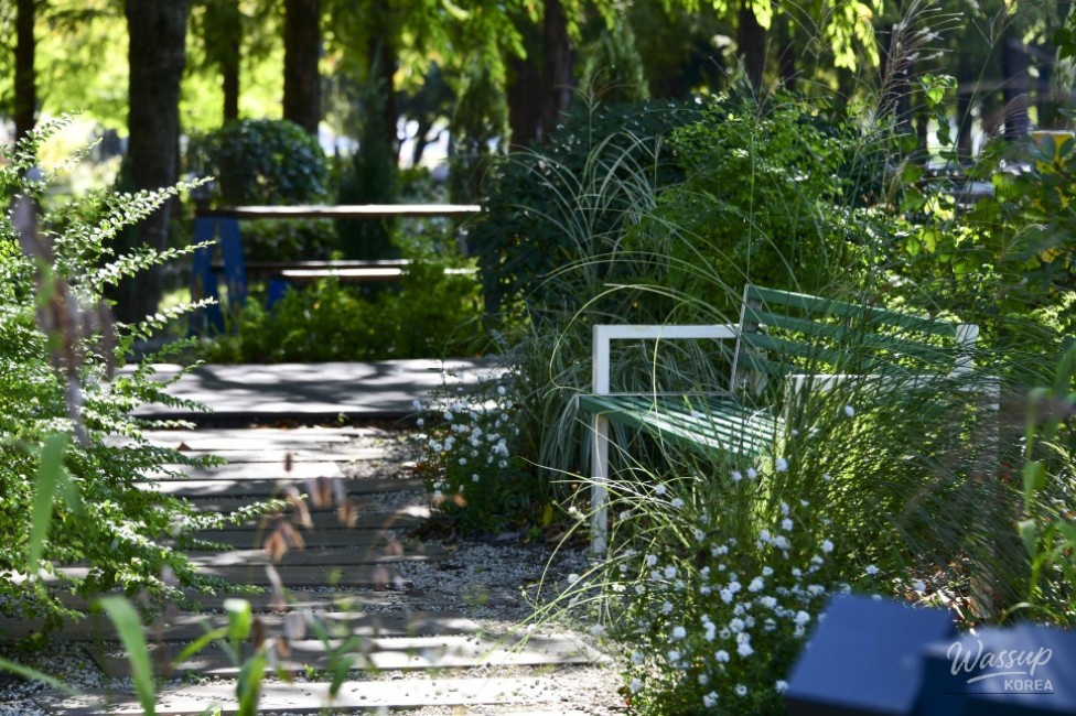 A Tranquil Escape in the Heart of the City_14