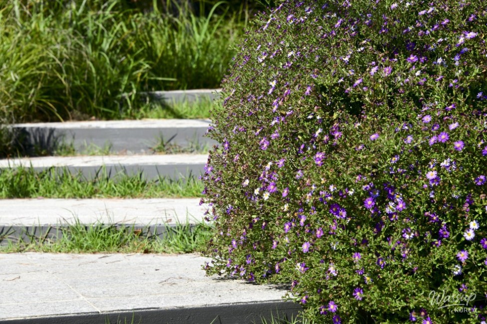 A Tranquil Escape in the Heart of the City_16