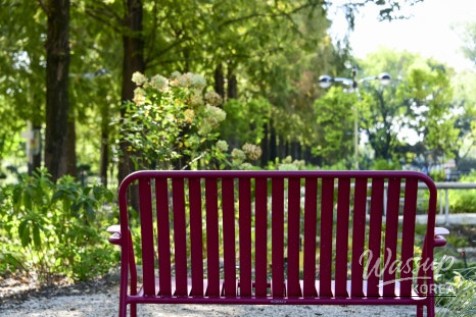 A Tranquil Escape in the Heart of the City_12