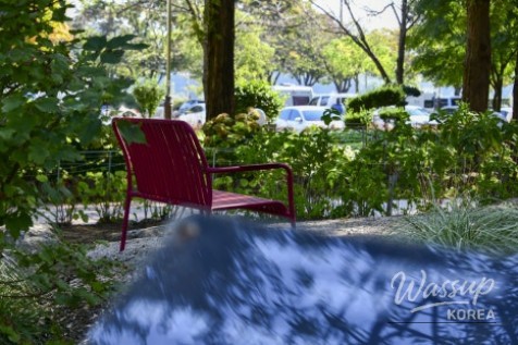 A Tranquil Escape in the Heart of the City_11