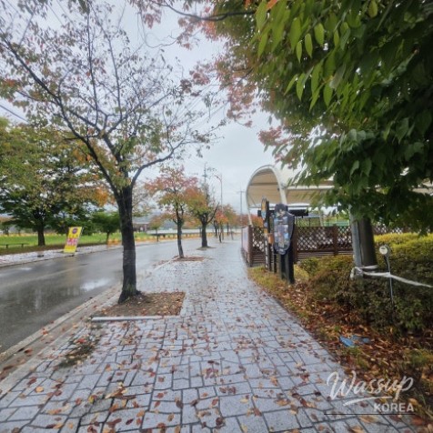 Relaxing in Warm Springs on a Rainy Autumn Day_02