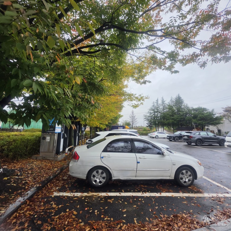 Relaxing in Warm Springs on a Rainy Autumn Day_03