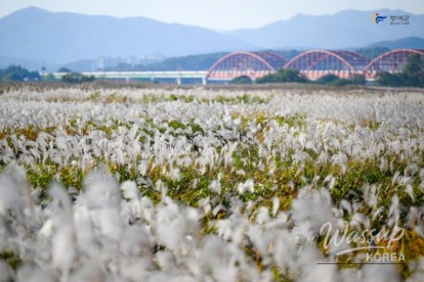 Autumn Walks at Buyeo Narae Park_03