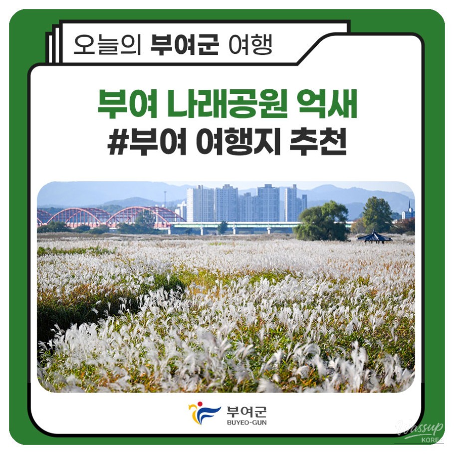 Autumn Walks at Buyeo Narae Park_01