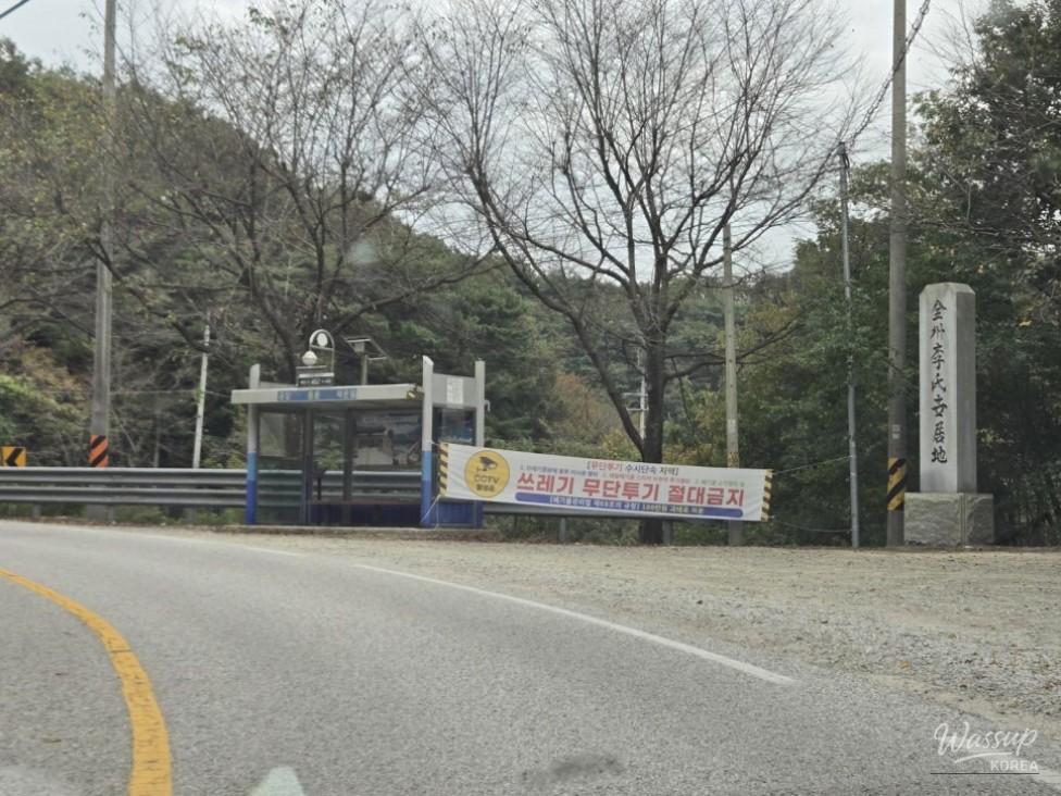 A Scenic Drive and Walk at Okjeongho Lake_04