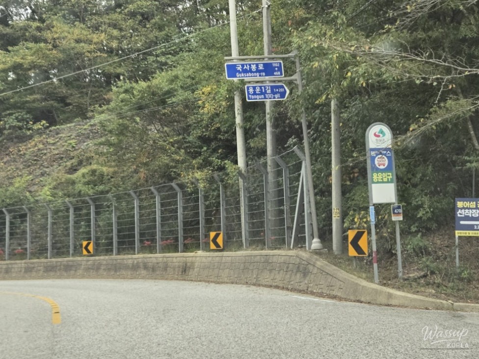 A Scenic Drive and Walk at Okjeongho Lake_05