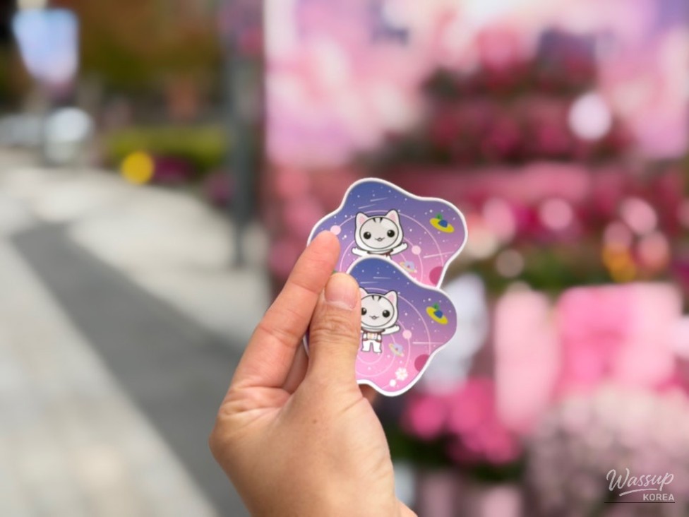 2026 Goyang Flower Aroma Festa: A Celebration of Autumn Blooms_20