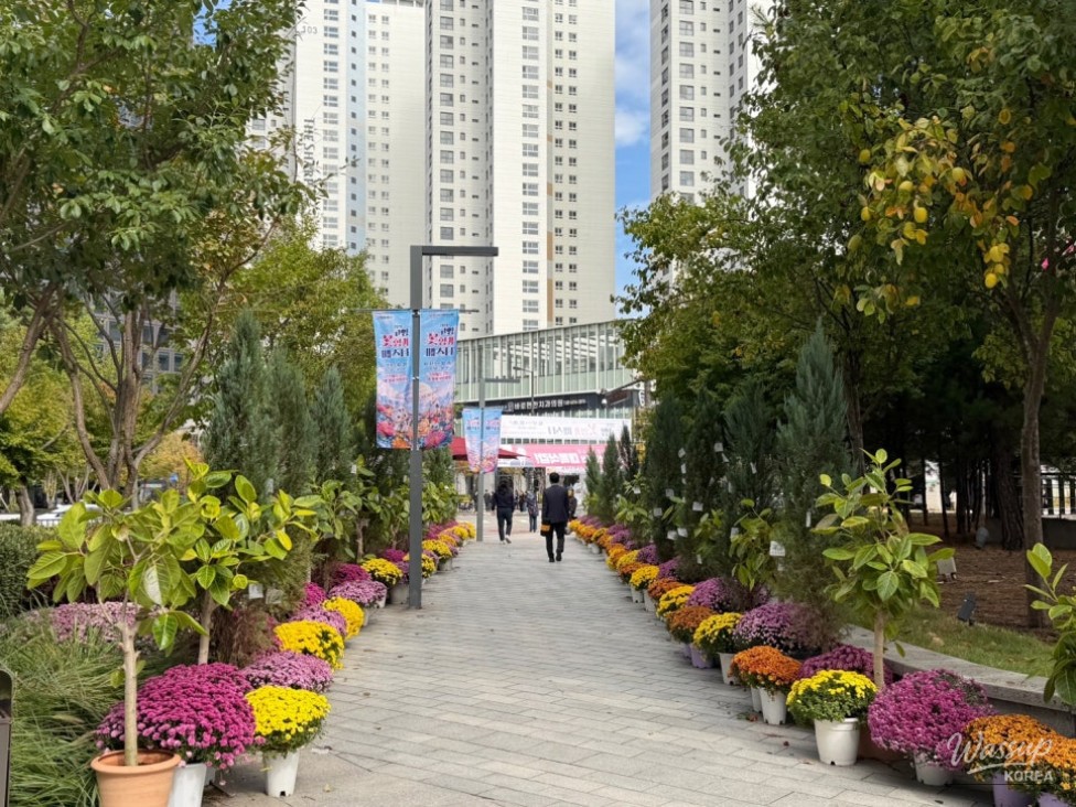 2026 Goyang Flower Aroma Festa: A Celebration of Autumn Blooms_22