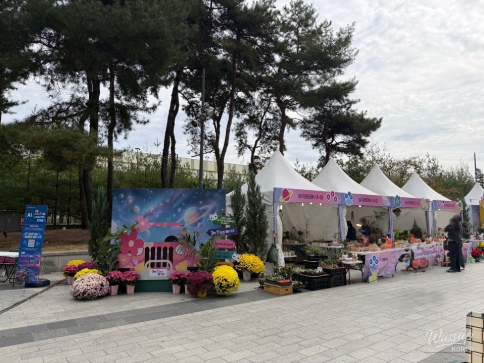 2026 Goyang Flower Aroma Festa: A Celebration of Autumn Blooms_03
