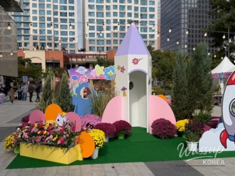 2026 Goyang Flower Aroma Festa: A Celebration of Autumn Blooms_12