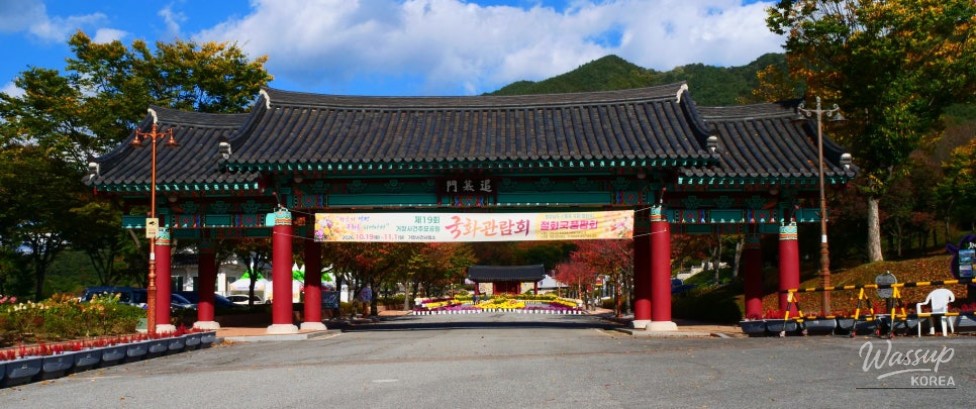 Chrysanthemum Festival at the Gochang Incident Memorial Park_03