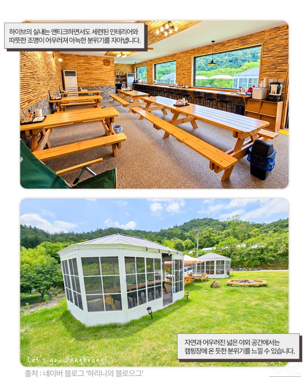 Discover the Exotic Charm of Jangheung Hive_04