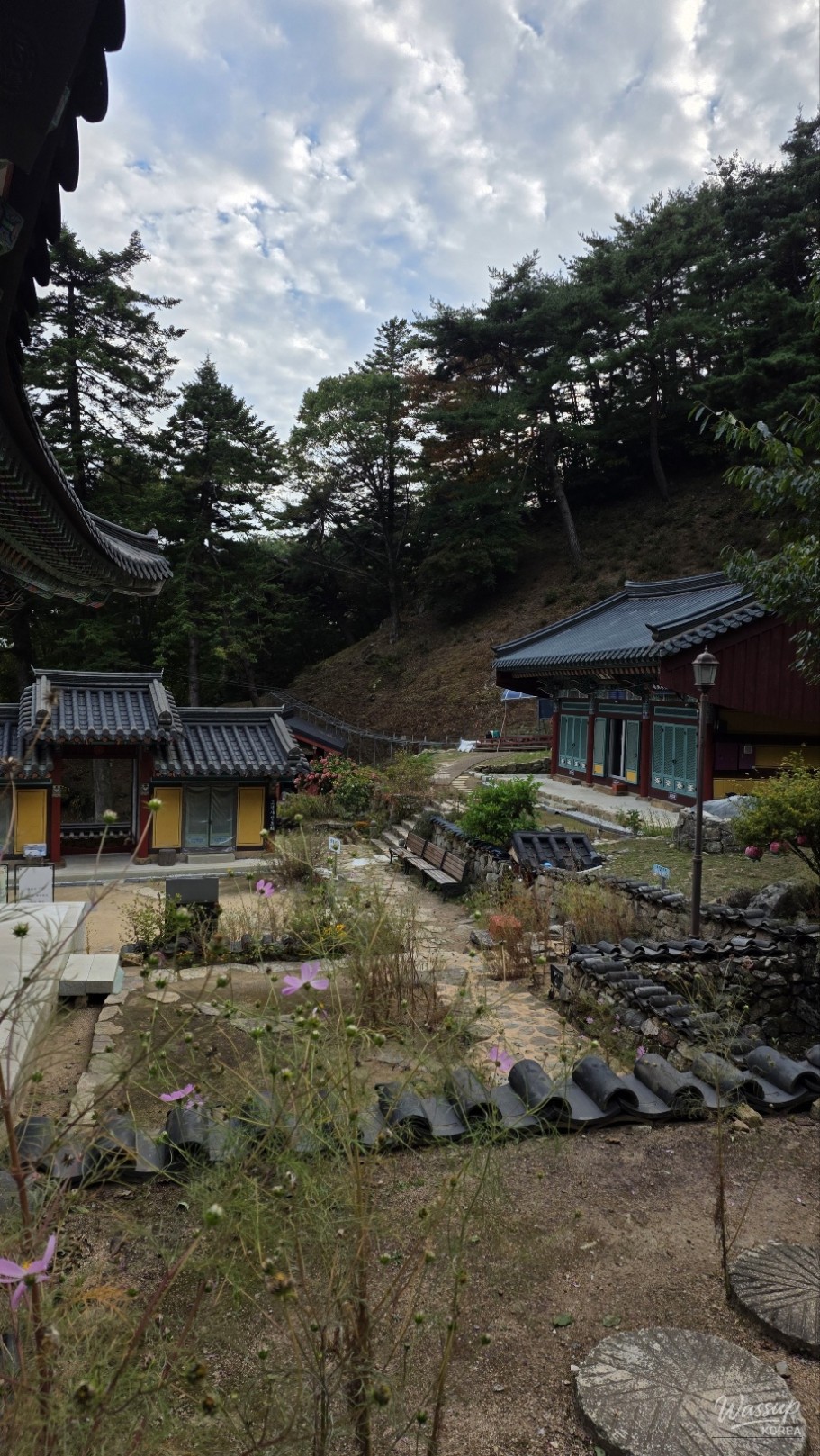 Exploring Gokyeonsa Temple in Gochang_16