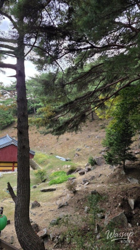 Exploring Gokyeonsa Temple in Gochang_15
