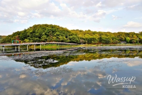 Autumn Serenity at Gongneun Lake_02