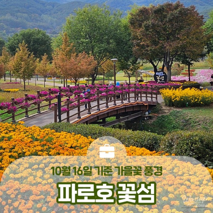 Autumn Scenery at Paroho Flower Island in Yanggu