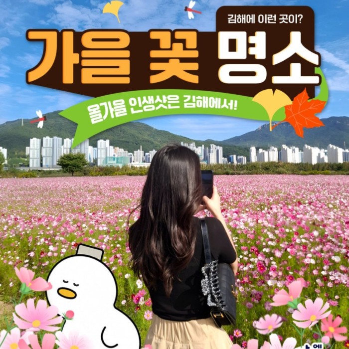 Autumn Flower Spots in Gimhae