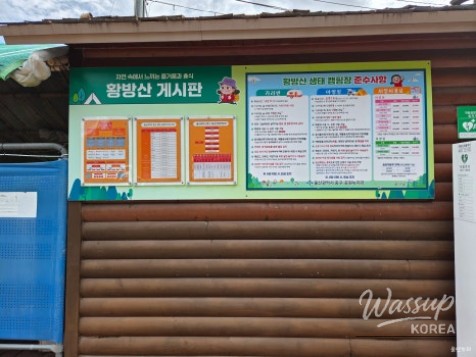 Exploring the Barefoot Walking Trail at Hwangbangsan_04