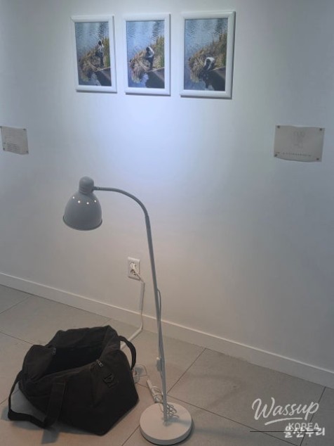 Art Street Ulsan: Scattered Nearing Exhibition_07
