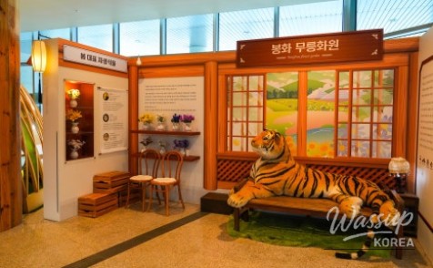 Exploring the Beauty of the National Baekdu-daegan Arboretum in Autumn_05