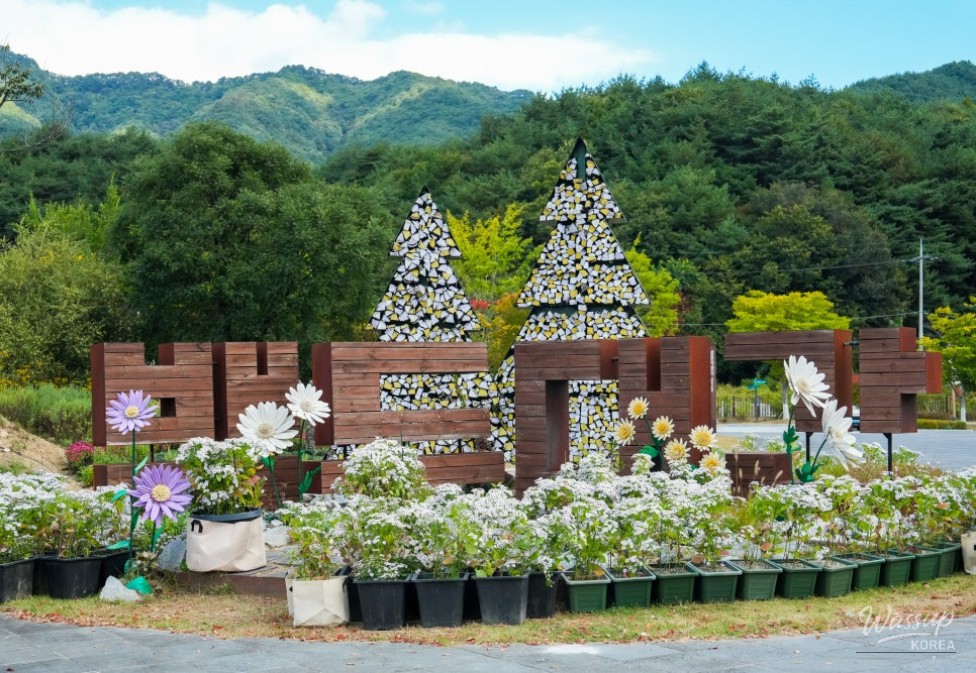 Exploring the Beauty of the National Baekdu-daegan Arboretum in Autumn_01