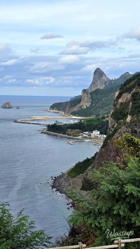 Discovering the Scenic Beauty of Ulleungdo's Taehahyangmok Observatory_02