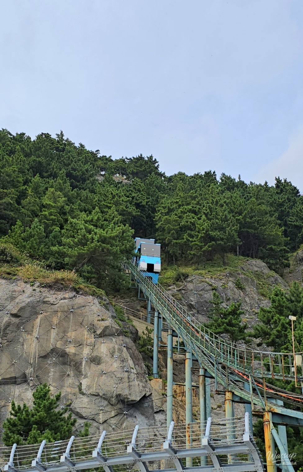 Discovering the Scenic Beauty of Ulleungdo's Taehahyangmok Observatory_05