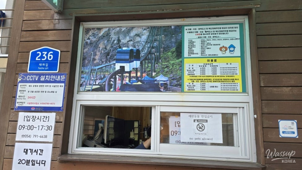 Discovering the Scenic Beauty of Ulleungdo's Taehahyangmok Observatory_04